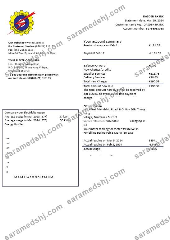Laos Electricite du Laos electricity business utility bill template in Word and PDF formats